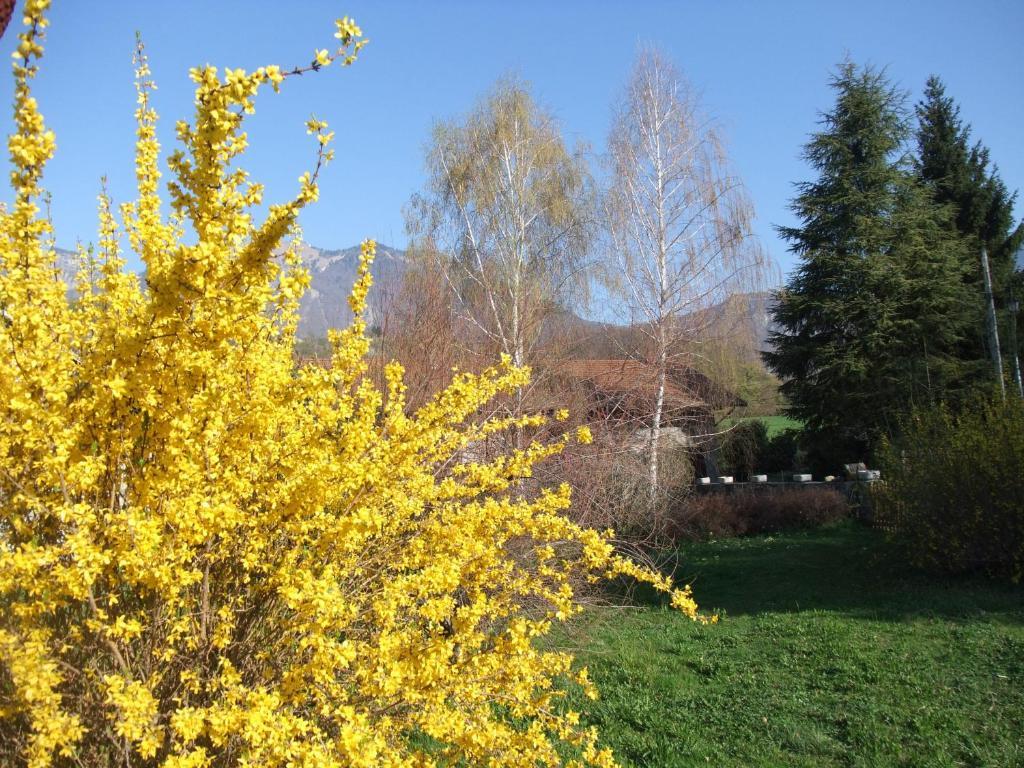 Tournon-sur-Rhône Le Domaine Du Grand Cellier Chambres D'Hotes En Savoie מראה חיצוני תמונה